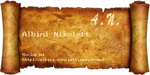 Albini Nikolett névjegykártya